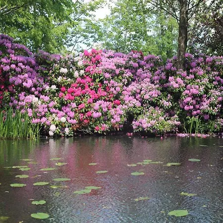 Weidengrund Burg Kauper Lejlighed
