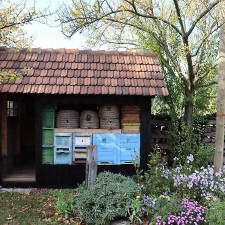 Weidengrund Burg Kauper * Byhlen