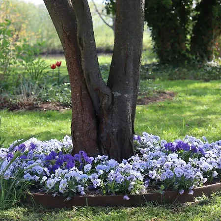 Lägenhet Weidengrund Burg Kauper Byhlen