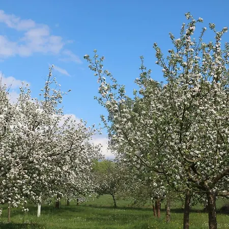 Weidengrund Burg Kauper