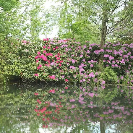 Weidengrund Burg Kauper * Byhlen