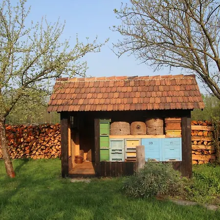 Weidengrund Burg Kauper Apartmán *