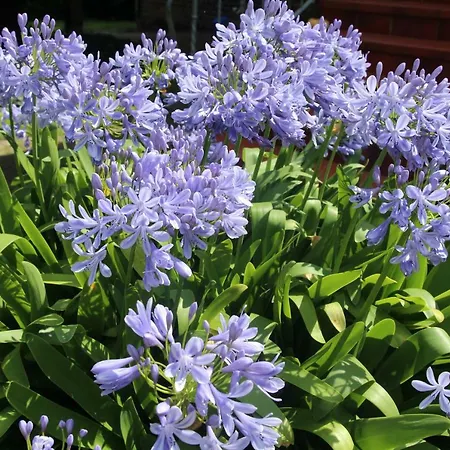 Lejlighed Weidengrund Burg Kauper *