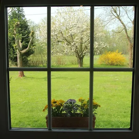 Lägenhet Weidengrund Burg Kauper Byhlen