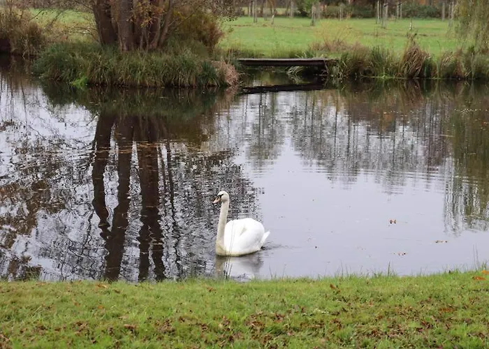 Weidengrund Burg Kauper Lägenhet Byhlen