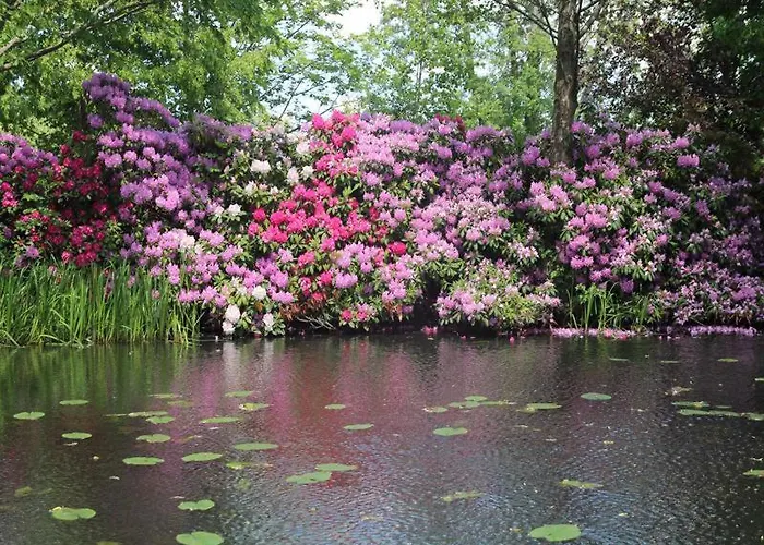 Weidengrund Burg Kauper Lägenhet