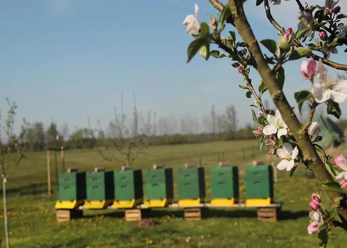 Lägenhet Weidengrund Burg Kauper Byhlen