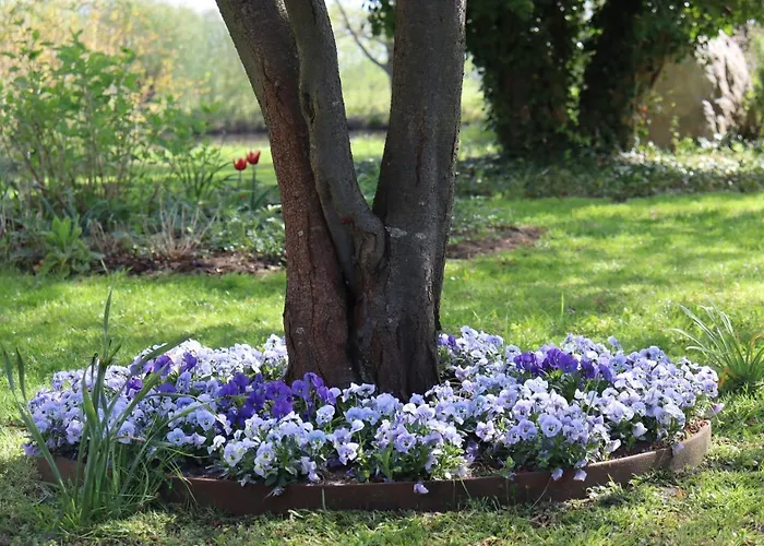 Lägenhet Weidengrund Burg Kauper Byhlen