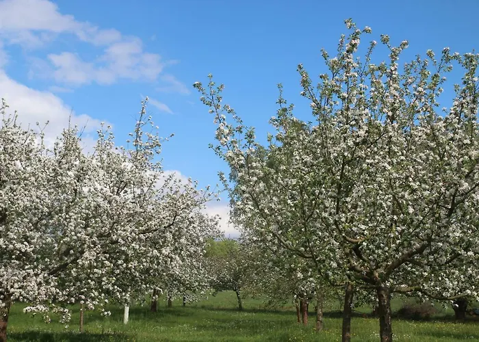 Weidengrund Burg Kauper