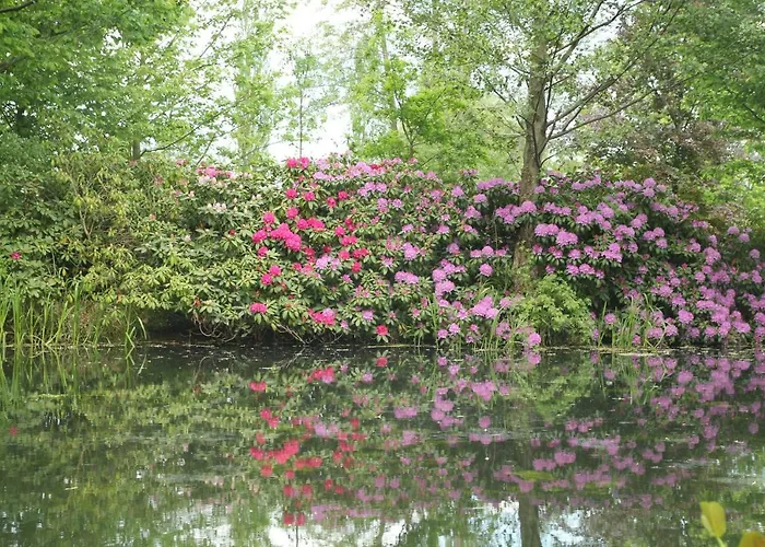 Weidengrund Burg Kauper * Byhlen