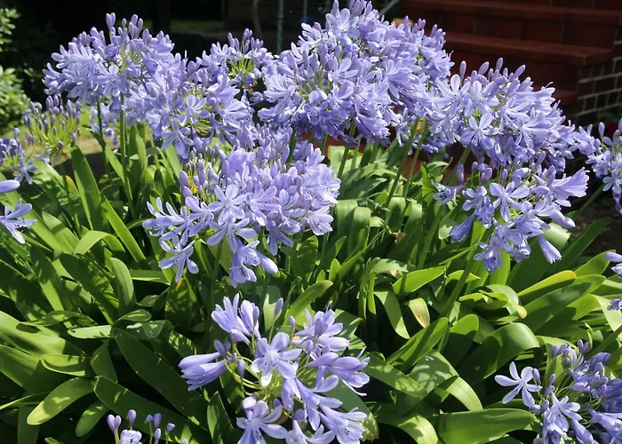 Lägenhet Weidengrund Burg Kauper *